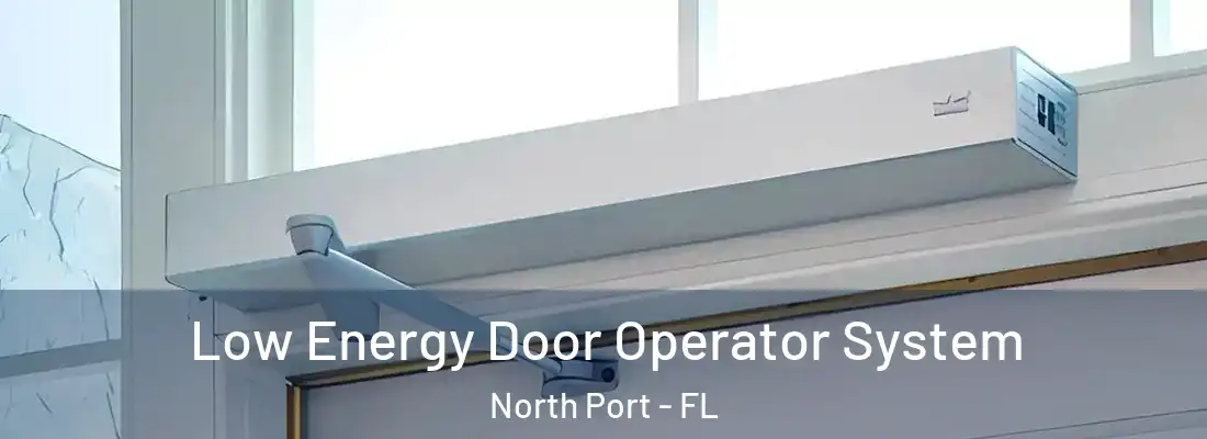 Low Energy Door Operator System North Port - FL